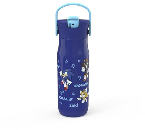 Zak Designs Harmony Sonic the Hedgehog Water Bottle for Travel or Home, 20oz Recycled Stainless Steel is Leak-Proof When Closed and Vacuum Insulated with Straw Lid and Carry Handle (Sonic & Friends)
