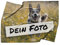 Personalisierte Babydecke mit Foto - personalisierte Fotodecke - Babydecke mit Ihrem Bild - Fotodecke selbst gestalten - Decke Querformat 100 x 75 cm 1 Foto Design 100 x 75 cm