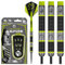 WINMAU Michael Van Gerwen MvG Aspire 22g Profi Wolfram Steeltip Dartpfeile Set mit Flights und Schäfte
