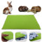 NEO SOLVO Fleece Spielplatzmatte für Meerschweinchen und Kaninchen - Alles in einem: eine Decke, EIN riesiger Tunnel, EIN Haus, EIN Kissen und EIN Bett - 50 cm x 60 cm - Grün