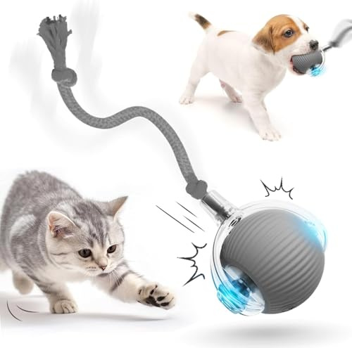 Interaktives Katzenspielzeug Katzenball Selbstbeschäftigung Elektrisch Ball Wiederaufladbar Hundespielzeug Chewie Rolling Ball Automatischer Rollball Interaktiver Spielball mit Schwanz für Katzen