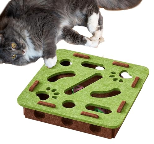 Pzuryhg Kitten Brain Game - Fun Enrichment Puzzle Box, Multi-Chamber Treat Dispenser with Rolling Balls, Sturdy Skill-Building Play for Curious Cats, Ideal for Indoor Activity and Mental Stimulation