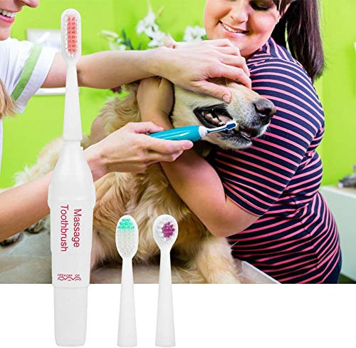 Hund Zahnbürste Haustier Elektrische Zahnbürste Zahnpflege Set Hundezahnbürste mit 3 Aufsteckbürsten und ergonomischer Griff für Haustier Oral Care Pflege(rot)