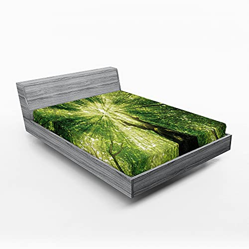ABAKUHAUS Wald Spannbetttuch, Green Spring Brunches Sun, Soft Dekorativer Stoff Bettwäsche Rund-um Elastischer Gummizug, 180 cm x 200 cm, Grün und Dunkelgrün