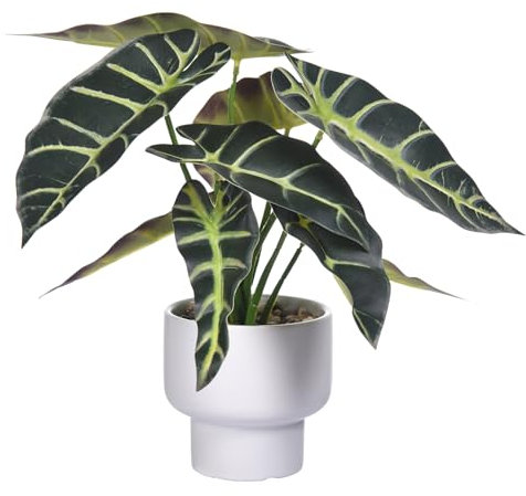 WishTip Artificial Plants in Ceramic Pot Fake Potted Plant Faux Alocasia Begonia Calathea Plants for Home Office Bathroom Table Décor