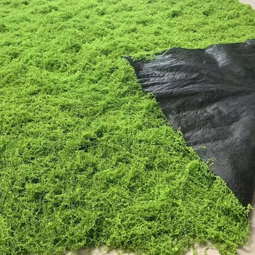 AQCQDQ Moosmatten zur Dekoration, Flachmoos für Moosbilder und Mooswände, Kunst Moos Kunstmoos Zum Dekorieren, Fake Dekomoos Bastelmoos Moos-Matten, Frühlingsdeko (Hellgrün,100 * 100 cm)