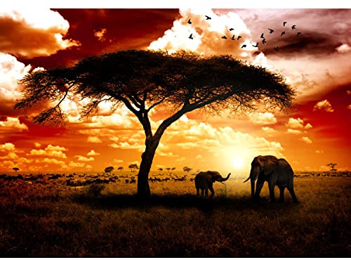 Runa Art Wallpaper 396 x 280 cm Africa Elephants Non-Woven Decoration Print Wall Mural Living Room - Made in Germany - Brown Orange 9110012a