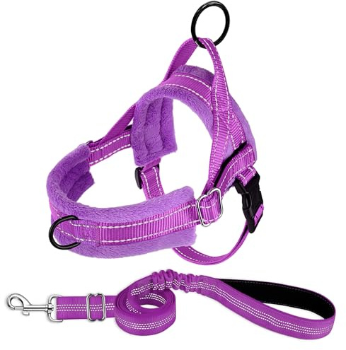 SlowTon Ensemble Harnais et Laisse pour Chien, Ajustement Rapide à Gilet Rembourré pour Petits Chiens, Avec Sécurité et Bungee Ajustable