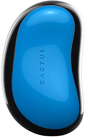 Cactus Barbora Nordic Glow