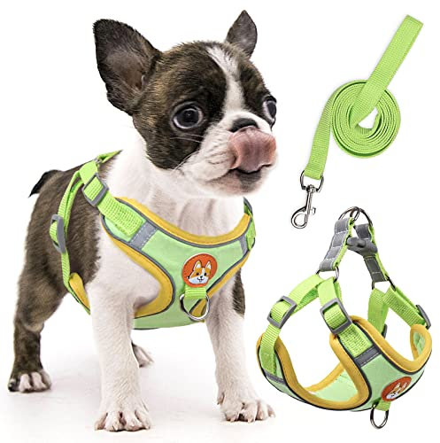rennaio Hundegeschirr Kein Ziehen, Verstellbares Welpengeschirr mit 2 Leinenclips, Reflektierendes Hundegeschirr und Leine Set für kleine und mittelgroße Hunde (Grün, S)