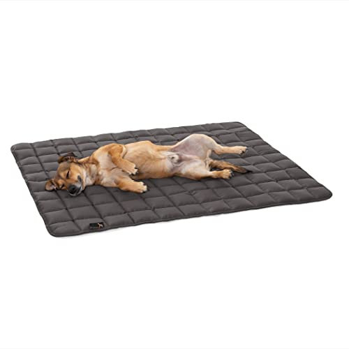 Pointer | Hundedecke 80 x 60 cm, Gepolstert & Strapazierfähig - Hundematte Waschbar bis 95°C, Liegedecke für Boden oder Sofaschutz - Outdoor geeignet (M - 80x60 cm, Grau)