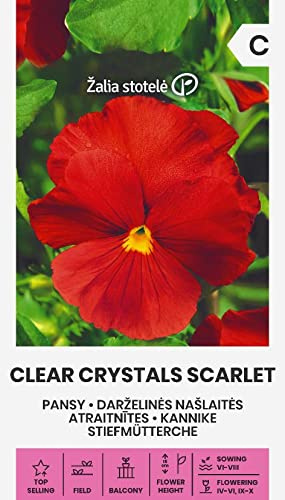 Zalia stotele | STIEFMÜTTERCHE - CLEAR CRYSTALS SCARLET samen | Blumensamen | Pflanze samen | Gardensamen | 1 Pack