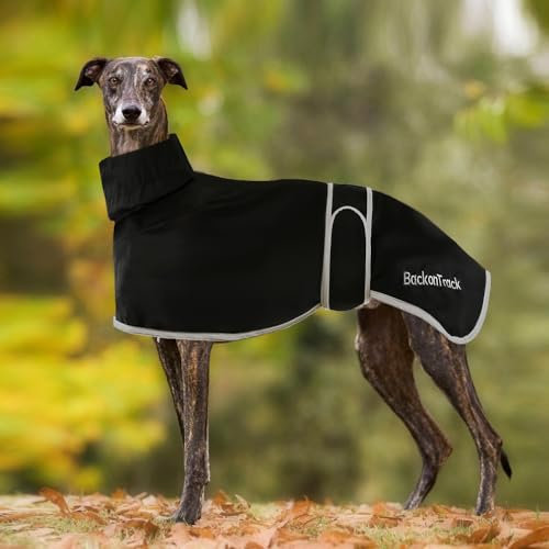 Leichter Whippet-Regenmantel, Windhundemantel, wasserdichter Sommer-Winter-Hundemantel für mittelgroße und große Hunde (Größe M, Schwarz)