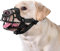 Onetigris Dog Muzzle,Soft Basket Silicone Muzzles for Small Medium Large Dogs,Humane Cage Mouth Cover, Perfect for Grooming and Training Medium, Large Aggressive Reactive Dogs (XL)