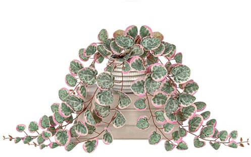 Briful Artificial Plants Indoor 16'' Faux String of Hearts Plants with Ceramic Pot Small Fake Pink Plants for Home Office Hotel Bathroom Table Shelf Decor