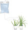Sacca Automatica per Irrigazione a Goccia, Dispositivo di Irrigazione a Grande capacità con Sacca D'acqua Adatta per Piante in Vaso Piante D'appartamento Piante da Giardino (6.5L)