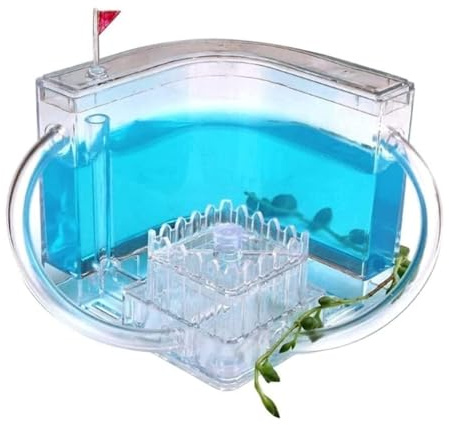 AZHKJKZH Ameisen Terrarium Ameisenburg-Beobachtungsset, Ameisenfarm, Durchscheinendes Gel, Ameisenzuchtset, Ameisennest, Farm, Ameisenlebensraum, Wissenschaft Ameisenfarm Zubehör(Blue)