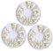 minkissy Nail Charms Gems 3D Nail Charm Set for Zodiac Signs and Nail Art