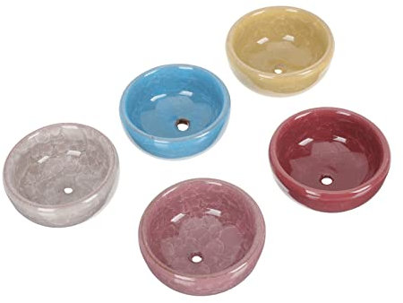 OFFSCH Lot De 5 Pots De Fleurs D'intérieur en Céramique en Terre Cuite pour Une Décoration Élégante Et Colorée