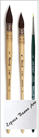 Raphael Serie 803 Pinceau Lavis Aquarelle Petit Gris Pur Monte sur Plume ,N0, 0 , 2 +1 DaVinci 1570