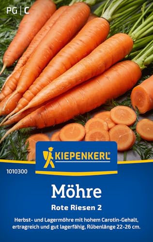 Kiepenkerl Möhrensamen Rote Riesen 2 1010300 - Herbst- und Lagermöhre mit hohem Carotin- Gehalt - circa 22-26cm - Gemüsepflanzen, Saatgut, Samen Gemüse, Karotten