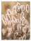 ABCWARRT Grünland Löwe Landschaft Kunst Leinwand Löwenzahn Malerei Reed Poster Und Malerei Heu Bilder Wandposter Für Wohnzimmer Dekor (1,40 * 60cm Kein Rahmen)