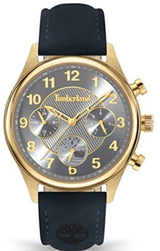 Timberland Damen Armbanduhr Ballardvale in der Farbe Gold mit Lederarmband, Gehäusedurchmesser: 40 mm, TDWLF2200102