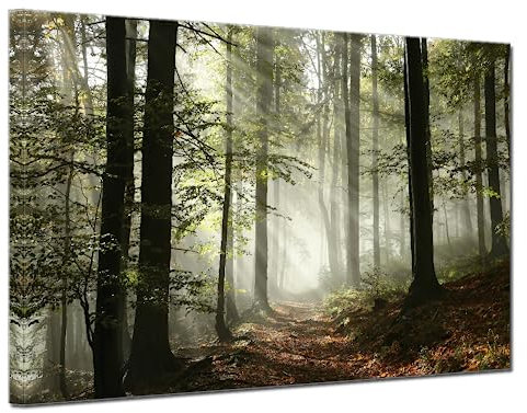 Wald Leinwand Wandkunst Bäume Nebel Morgen Frühling Landschaft für Schlafzimmer Badezimmer Dekorationen Modern Kunstwerk Druck Gerahmtes Gemälde Wohnzimmer Home Office Wanddekoration 30,5 x 40,6 cm