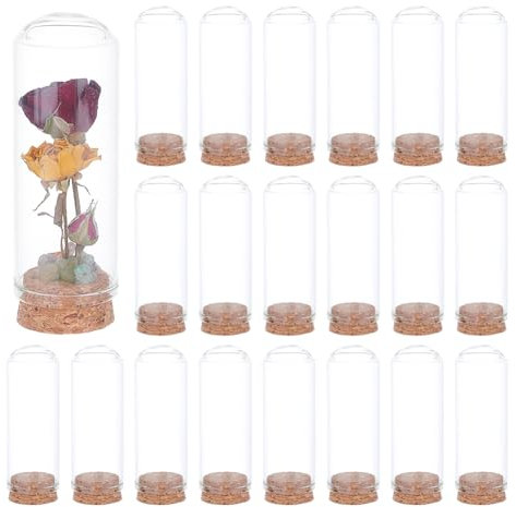 BENECREAT 20 Uds Tarros Decorativos de Cúpula, Campana de Cristal con Base de Corcho para Almacenamiento de Flores, Campana de Cristal con Cúpula de Exhibición de 3x8.8cm, Especímenes
