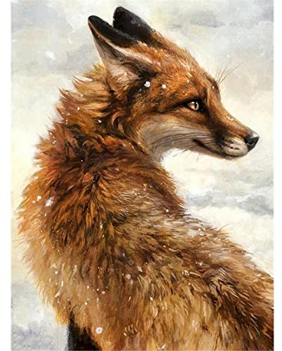 shiliwang Diy Ölgemälde-Set Für Malen Nach Zahlen Für Erwachsene Diy Fox Kits Handgemalt Auf Leinwand Mit Ölbild Tier Färbung Nach Zahlen