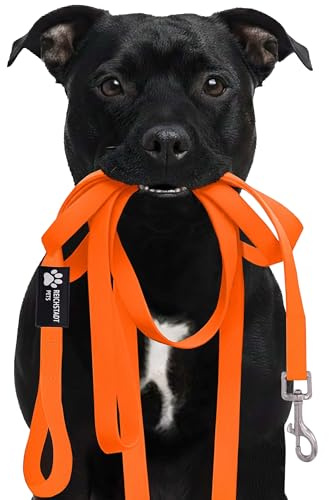 Reichstadt Pets Robuste PVC texturierte Hundeleine für Hunde – wasserabweisend, rutschfeste Oberfläche | 360° Edelstahl-Karabiner, pflegeleicht & wetterfest 25RSP085 Orange 10m