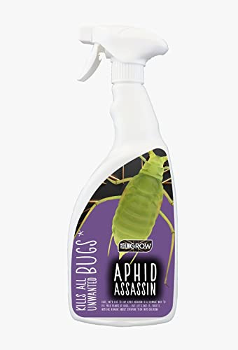 UK GROW:- 750ML - Aphid Assassin- Powerful Insect Killer Sprays Protect Your Plants from ALL Pests- Perfect For Edible Crops (750ML, Aphid Assassin)