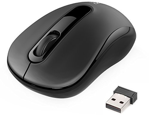 Rii RM100 Mini souris USB sans fil (RM100 Noir)