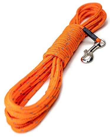 Mighty Paw Check Cord | Light Weight 9m/30ft Dog Training Lead. Durable, Weather Resistant Climbers’ Rope with Reflective Stitching. Perfect for Training, Swimming, Hunting, Camping. (Orange)
