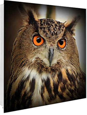 banjado Großer Schlüsselkasten Glas - Schlüsselbox 30x30cm mit 50 Haken - Schlüsselkasten modern für Schlüsselaufbewahrung mit beschreibbarer, magnetischer Glastür - Motiv Judy