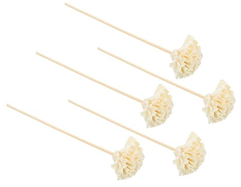 Mobestech 5 Sätze Karnationsaroma Rattan Diffusor Sticks Stöcke Aromatherapie Diffusoren Für Ätherische Öle Großer Duft Blumenstab Getrocknete Blumen Beige 5 Stücke * 5
