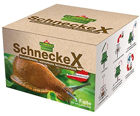 Florissa Natürlich 28365 SchneckeX, Grün