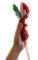 NARAMAKI Calcio Bandiere (Maracas, Standard)