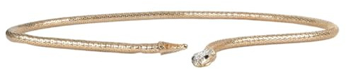 Haodream Metallische Schlangen Taillenkette Mit Magnetverschluss Galvanisierter Kettengürtel Für Weibliche Punk Dekore Frauen Schmuck Einkaufsgürtel
