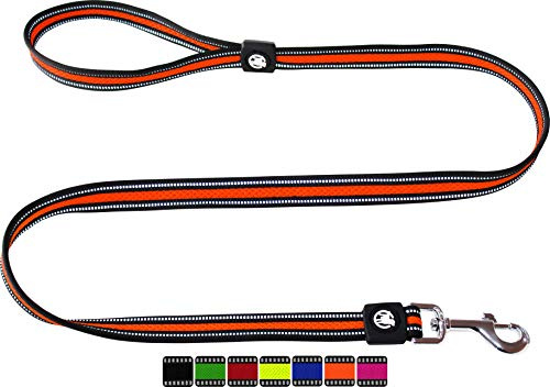 DDOXX Reflektierende Airmesh Hundeleine - 120 cm, Training Führleine Hund mit gepolsterter Handschlaufe für alle Hundegrößen - M (Orange)