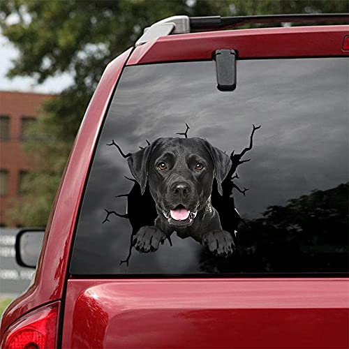 Ocean Gift Labrador Auto Aufkleber, Hund Auto Aufkleber 2 Stück - Realistische Labrador Aufkleber für Autofenster, Wände Serie 109 Größe 25,4 cm x 25,4 cm