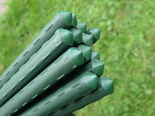 Plant Support Stakes & Tomato Canes | Large Garden Poles for Peonies Flowers Runner Beans Climbing Vegetables Fruit Cages - 1.8m / 71 Long x 11mm Ø (20)