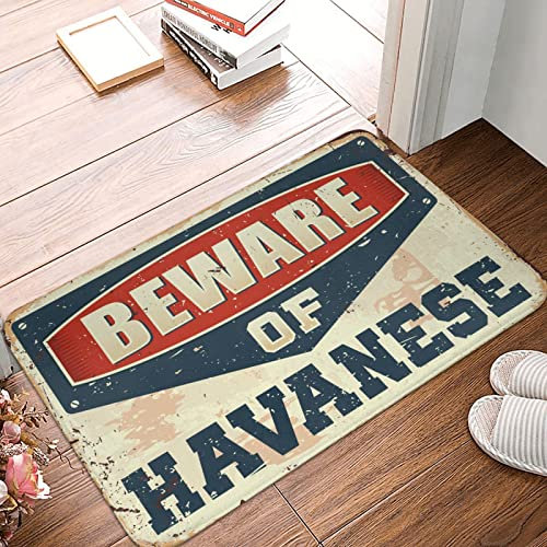 COTECI Tiki Bar pour terrasse extérieure Méfiez-vous des tapis havanais Bar Asserories Home Decor Weird Decor (taille : 40 x 60 cm)