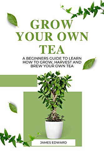 GROW YOUR OWN TEA: A Beginners Guide To Learn How To Grow, Harvest And Brew Your Own Tea