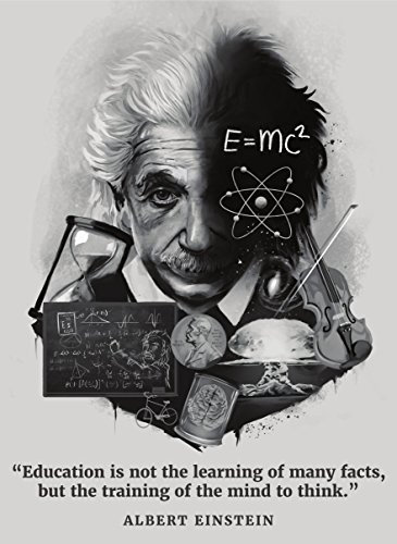 Palace Learning Albert Einstein Poster – inspirierendes und motivierendes Zitat (45 x 61 cm, laminiert)