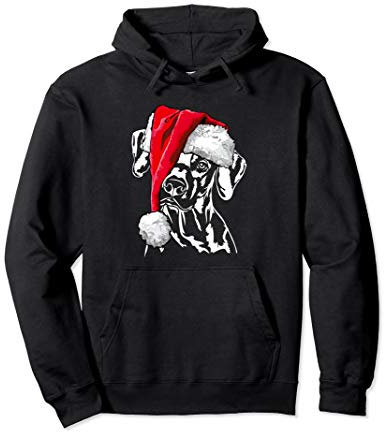 Rhodesian Ridgeback Weihnachtsmann Weihnachten Hunde Pullover Hoodie