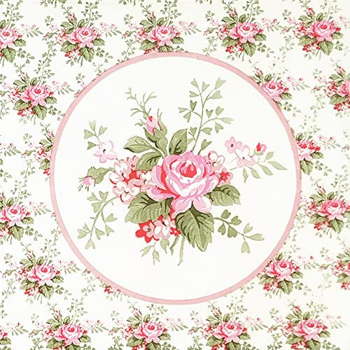 Zelten 2-Lagen 20 Count farbigen Papier Servietten Shabby Chic Servietten für Hochzeit Abendessen Tee Party Dekoration D (Rosa Rose, 1)