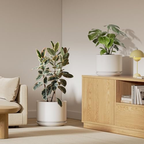 LE TAUCI Keramiktöpfe für Pflanzen, 2er-Set, 25,4 cm + 30,5 cm Blumentopf, langlebige und stilvolle Pflanzgefäße für Zimmerpflanzen mit Ablaufloch und Untersetzer, verschönern Sie die Ästhetik Ihres
