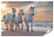 islandburner XXL Bild Poster Weiße Pferde Camargue Frankreich Herde Premium Bilder Fotodruck