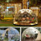 12 FT Garten Kuppel lgloo, Geodätische Kuppel Gewächshaus mit PVC-Klar Abdeckung, Garten Bubble Dome Zelt Haus mit 2 x 10M Light Strings für Outdoor, Patio (Green Edge & Shade, 3.6M x 3.6M x 2.2M